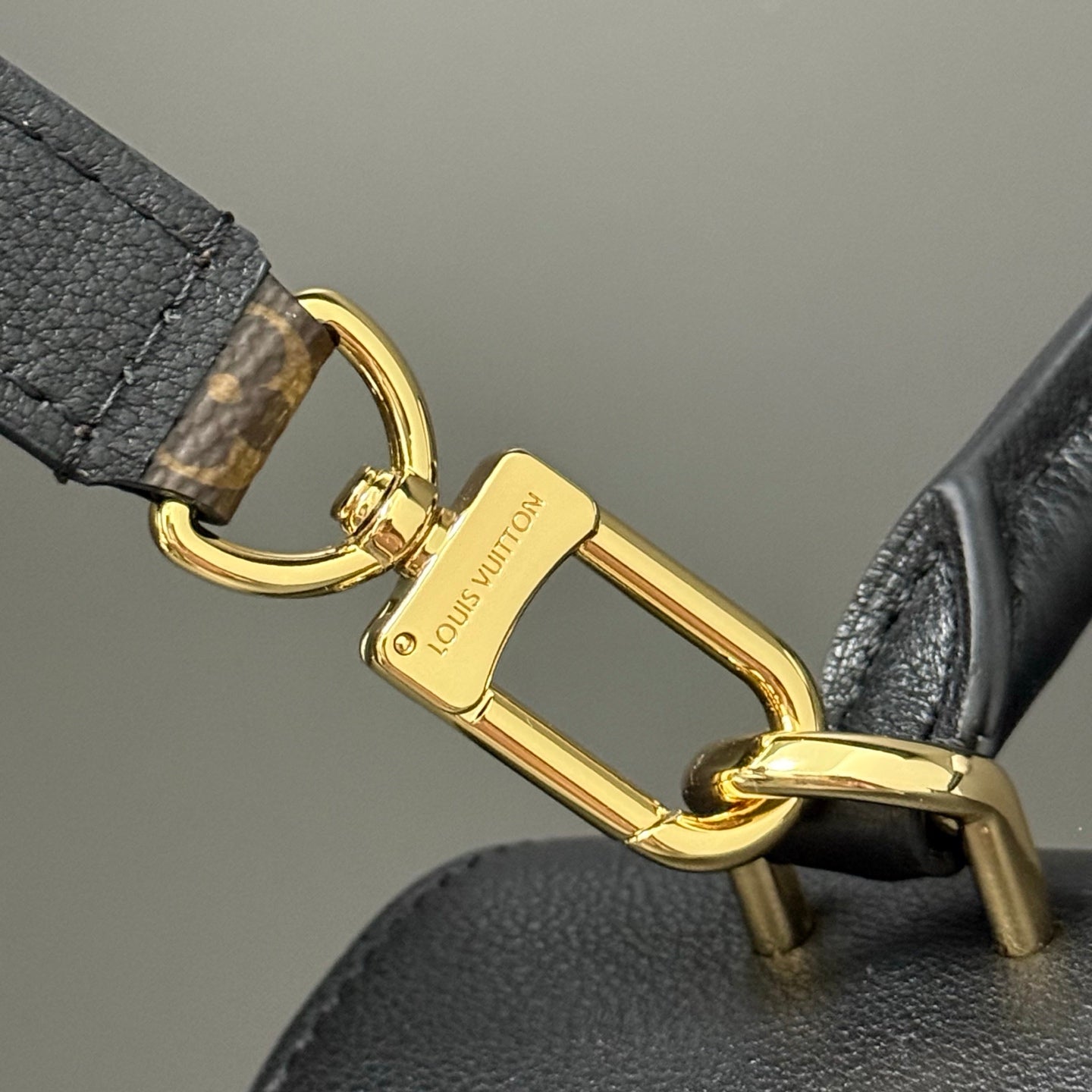 LV bag